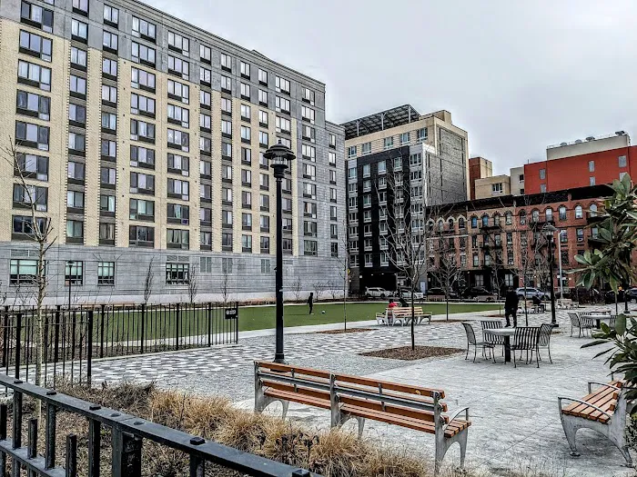 Melrose Commons Park Picture 3