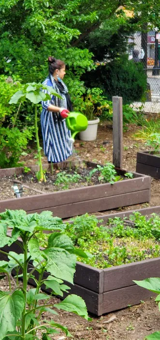 Rainbow Garden of Life and Health Picture 7