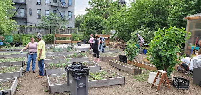Rainbow Garden of Life and Health Picture 6