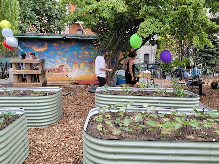 El Coqui Liberation Community Garden Picture 2
