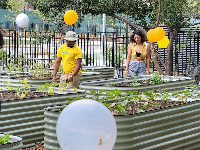 El Coqui Liberation Community Garden Picture 4