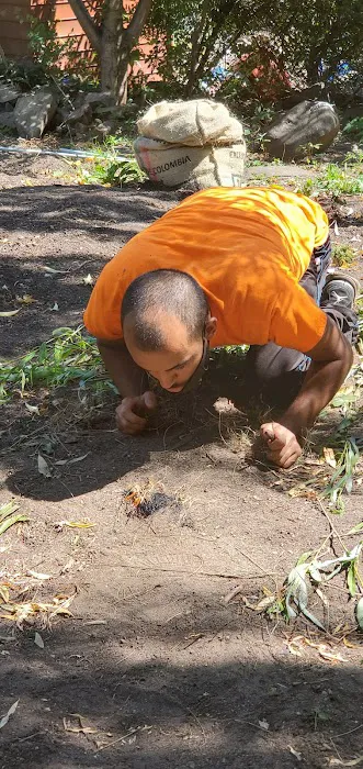 El Coqui Liberation Community Garden Picture 3