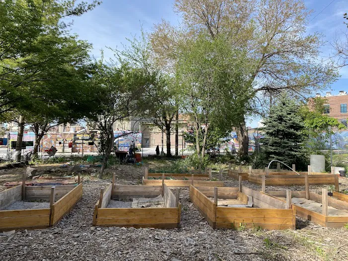 El Coqui Liberation Community Garden Picture 10