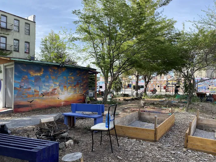 El Coqui Liberation Community Garden Picture 5