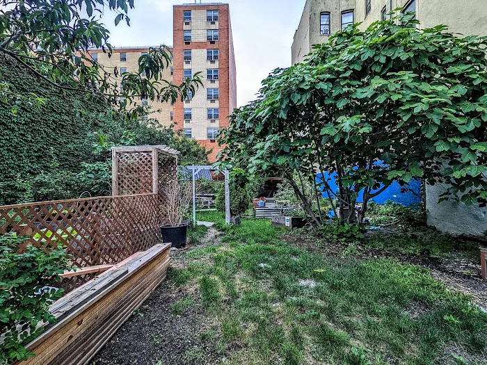 Melrose New Generation Community Garden Picture 4