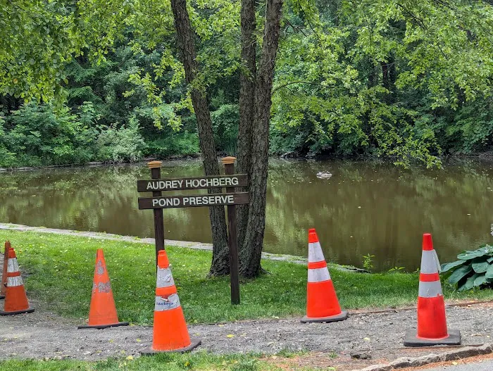 Audrey Hochberg Pond Preserve Picture 2