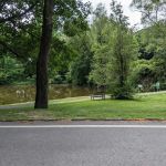 Audrey Hochberg Pond Preserve