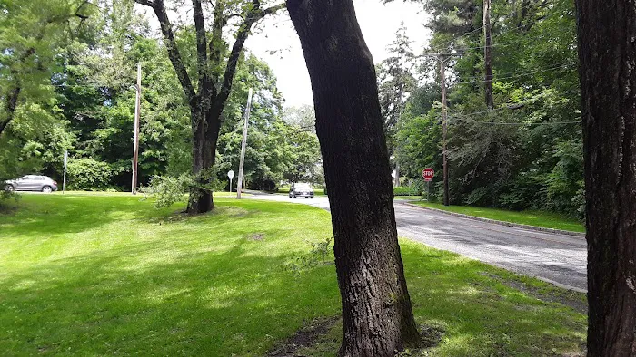 Corell Park Picture 8