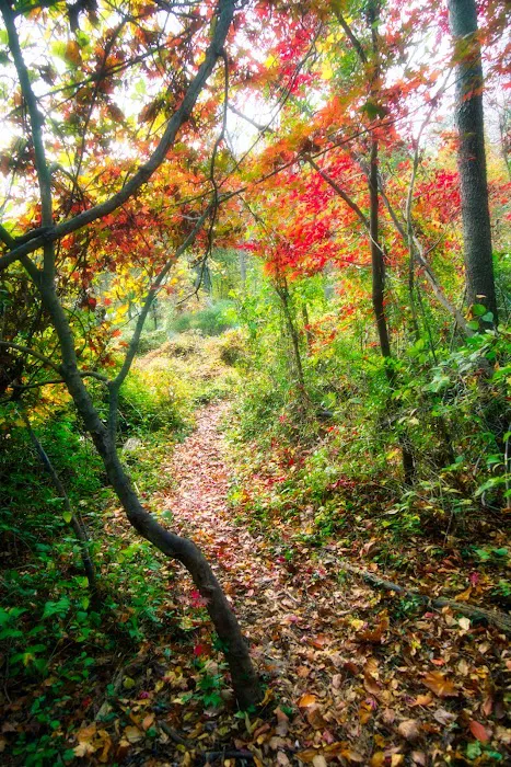 Weinberg Nature Center Picture 3
