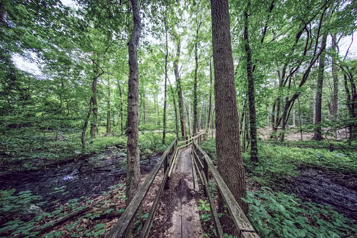 Weinberg Nature Center Picture 5
