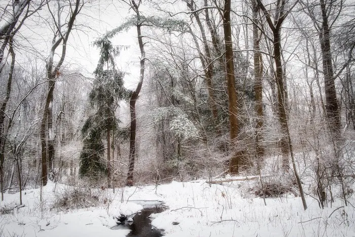 Weinberg Nature Center Picture 9