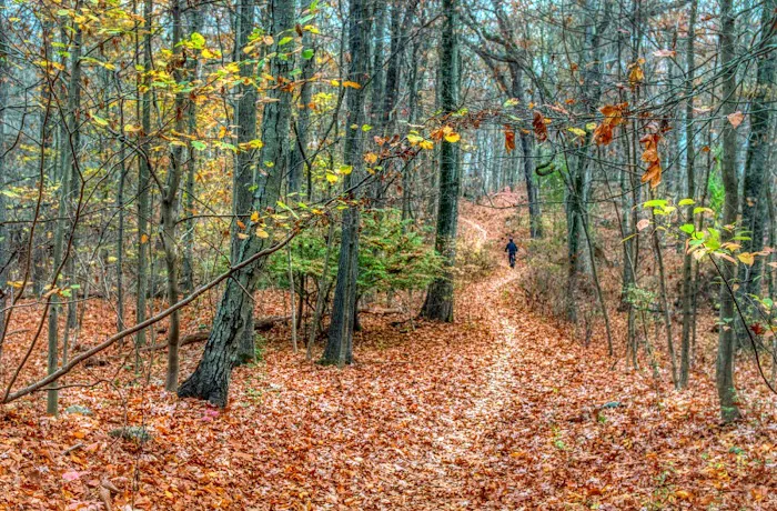 Weinberg Nature Center Picture 2