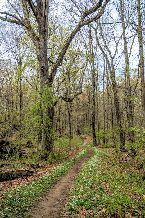 Weinberg Nature Center Picture 6