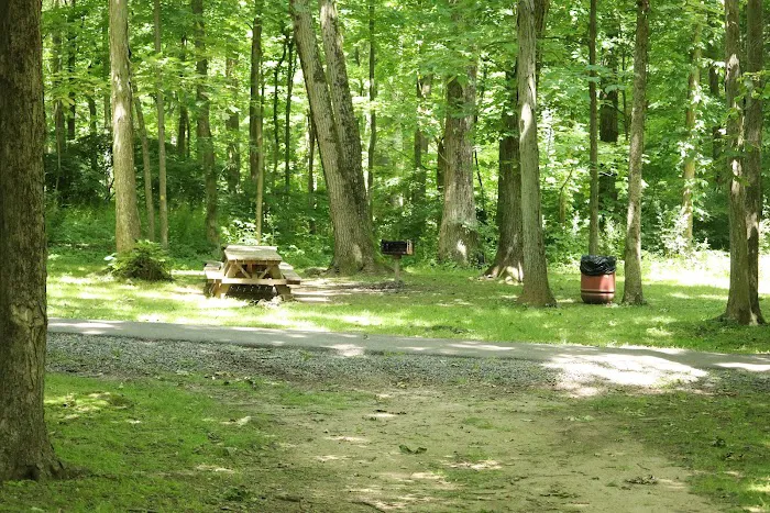 Saxon Woods Park - Parking Picture 10
