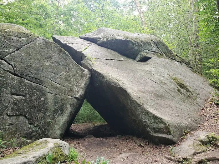 Saxon Woods Park Picture 10