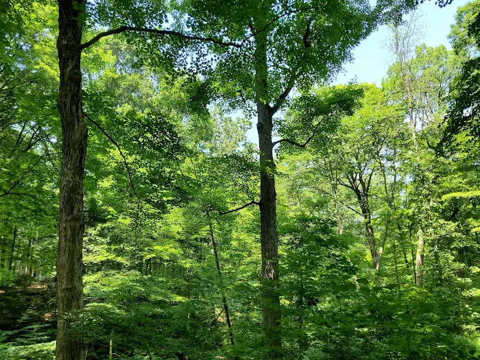 Saxon Woods Park Picture 4