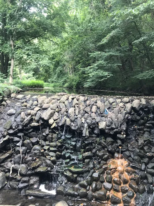Ridgeway Nature Trail Picture 4
