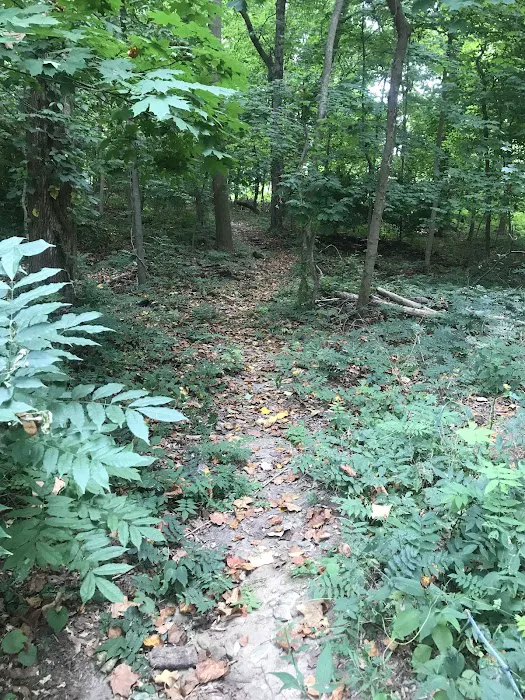 Ridgeway Nature Trail Picture 5