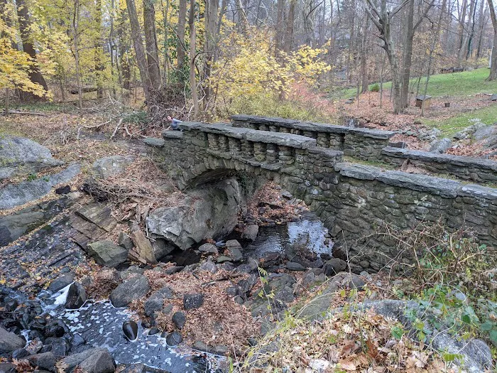 Ridgeway Nature Trail Picture 6