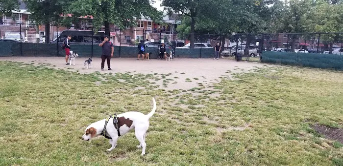 Landing Lights Dog Run Picture 10