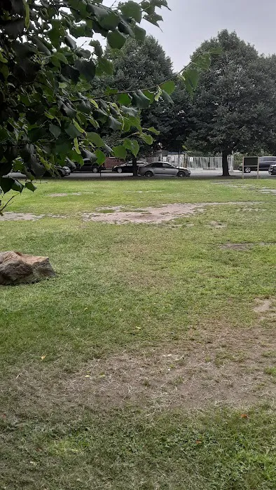 Landing Lights Dog Run Picture 6