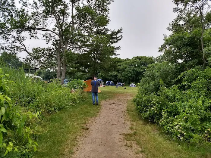 Camp Gateway Brooklyn Tamarak and Goldenrod Picture 5
