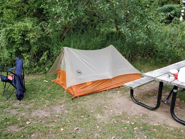 Camp Gateway Brooklyn Tamarak and Goldenrod Picture 3