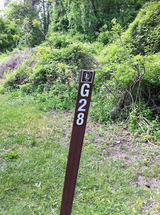 Camp Gateway Brooklyn Tamarak and Goldenrod Picture 2