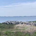 Natural Rock Jetty