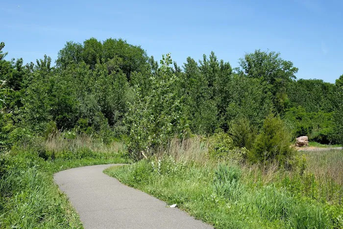 Canarsie Park Picture 4