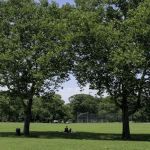 Canarsie Park
