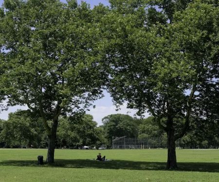 Canarsie Park