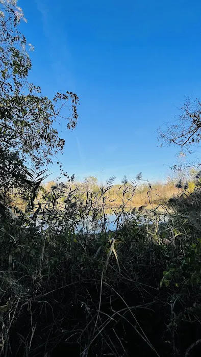Canarsie Bike Walk Picture 1