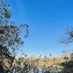 Canarsie Bike Walk