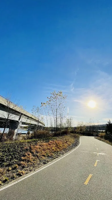 Canarsie Bike Walk Picture 9