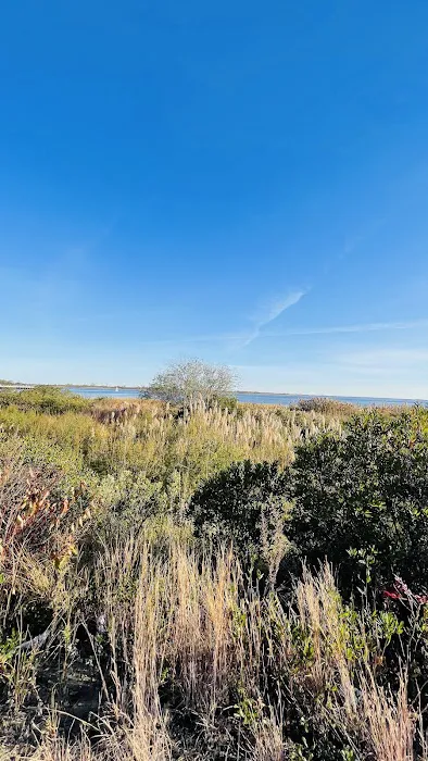 Canarsie Bike Walk Picture 8