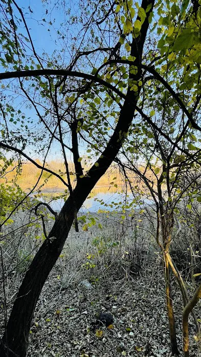 Canarsie Bike Walk Picture 6