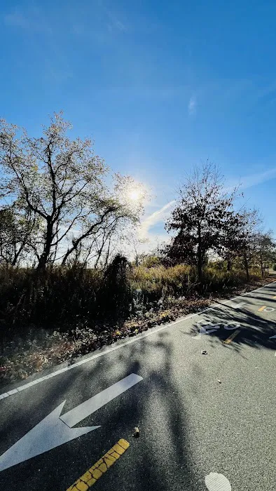 Canarsie Bike Walk Picture 5