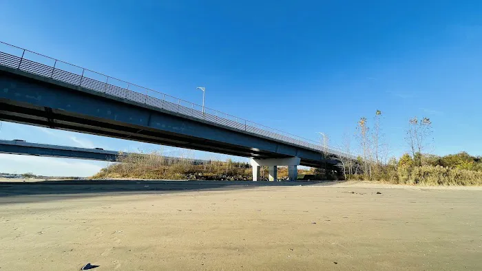 Canarsie Beach East Picture 4