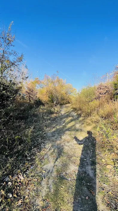 Canarsie Park Hiking Path Picture 1
