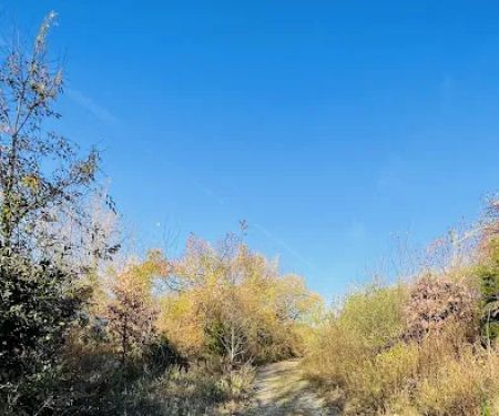 Canarsie Park Hiking Path
