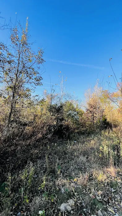 Canarsie Park Hiking Path Picture 3