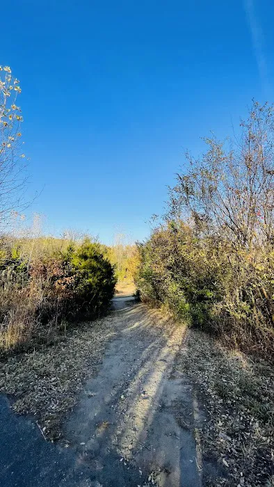 Canarsie Park Hiking Path Picture 7