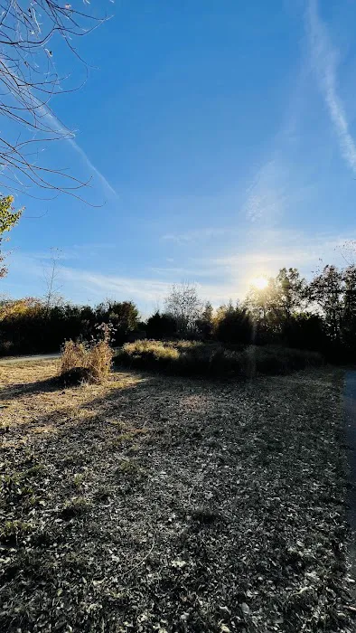 Canarsie Park Hiking Path Picture 5