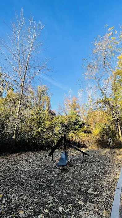 Canarsie Park Hiking Path Picture 10
