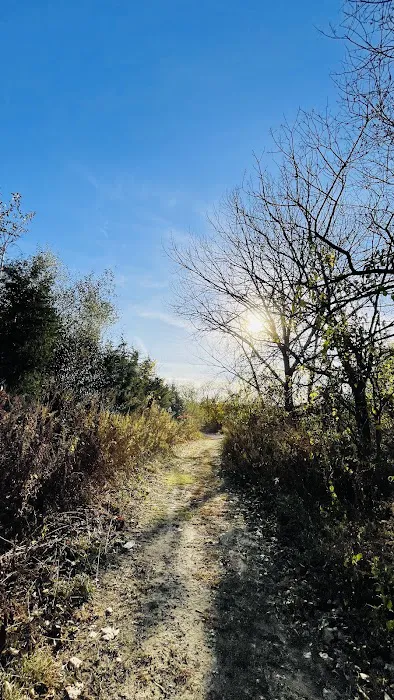 Canarsie Park Hiking Path Picture 8
