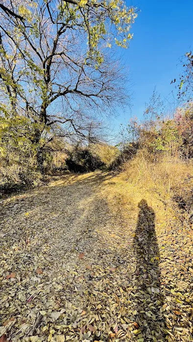 Canarsie Park Hiking Path Picture 9