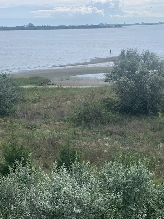Paerdegat Beach Picture 8