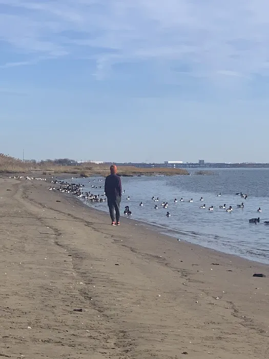 Paerdegat Beach Picture 9