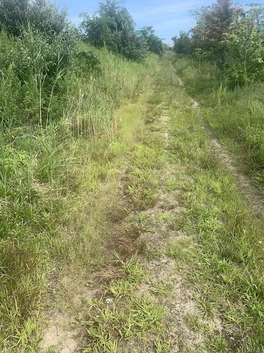Hidden Path To McGuire Fields Picture 1